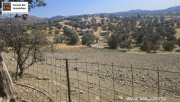 Sivas Kreta, Sivas Grundstück 3.400m² mit Baugenehmigung Grundstück kaufen